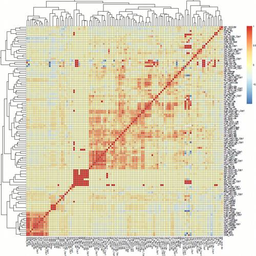 Heatmap